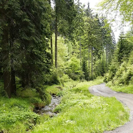 Holiday In In A Beautiful Mountainous *
